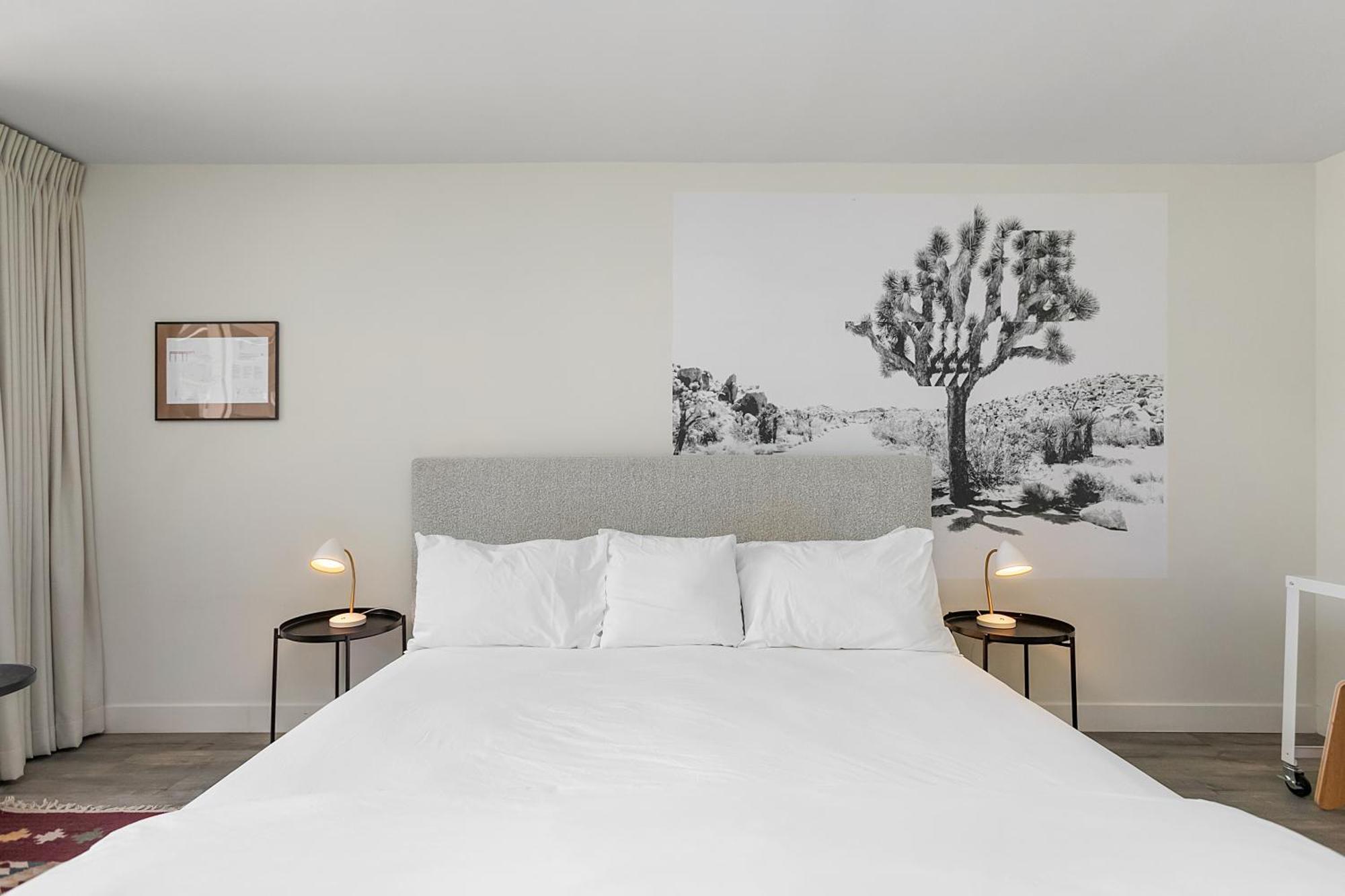 Papago Scottsdale By Reside, Trademark Collection By Wyndham Екстериор снимка